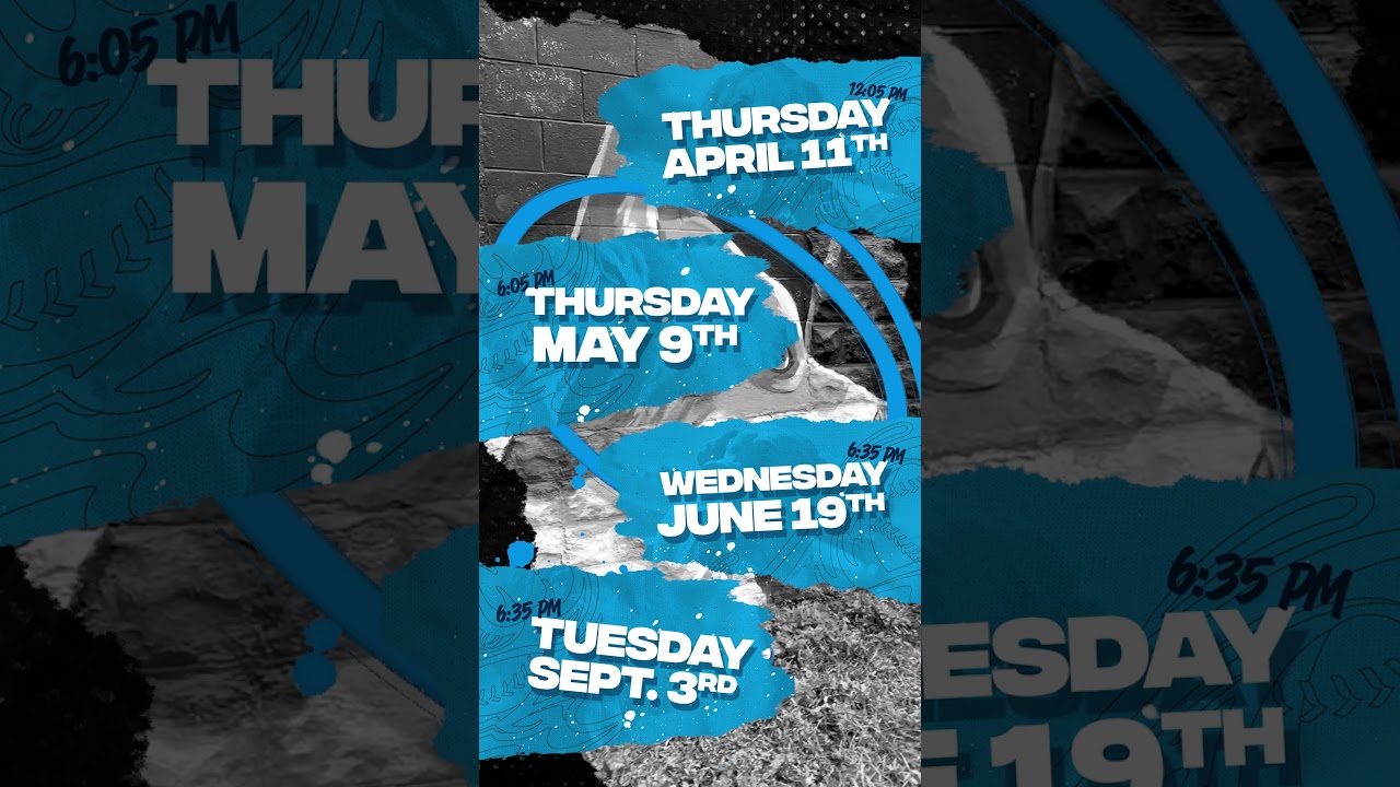 Dog Days 2024 Dog Days 2024