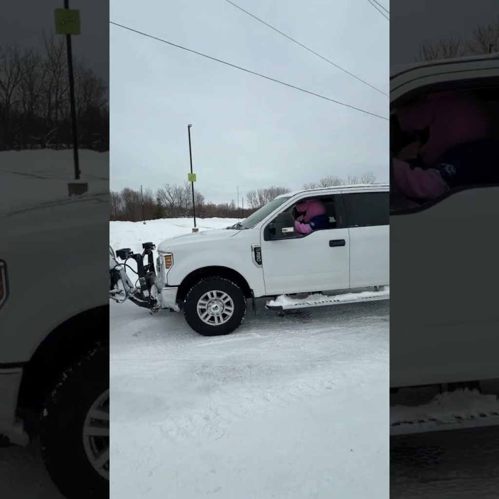 Call 555-PIG-PLOW Call 555-PIG-PLOW