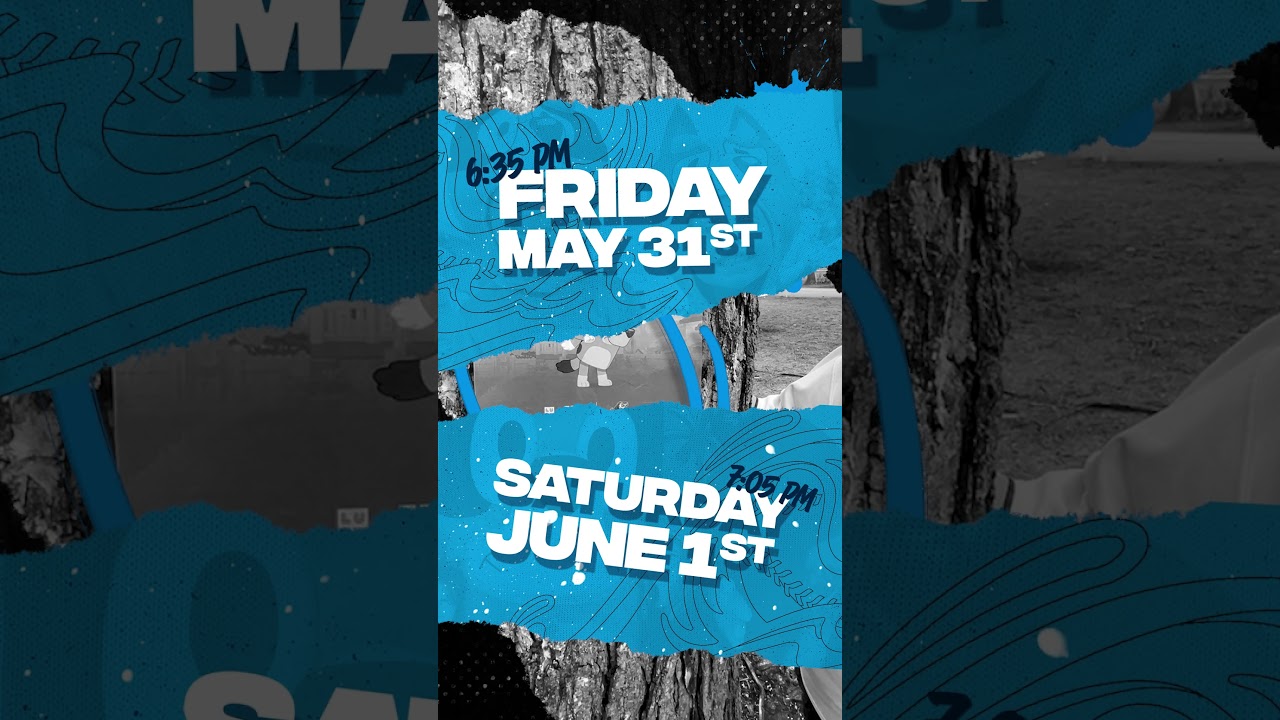 Bluey & Bingo 2024 Bluey & Bingo 2024