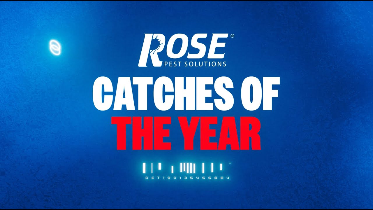 Detroit Tigers Top 10 Catches of the 2025 Season Detroit Tigers Top 10 Catches of the 2025 Season