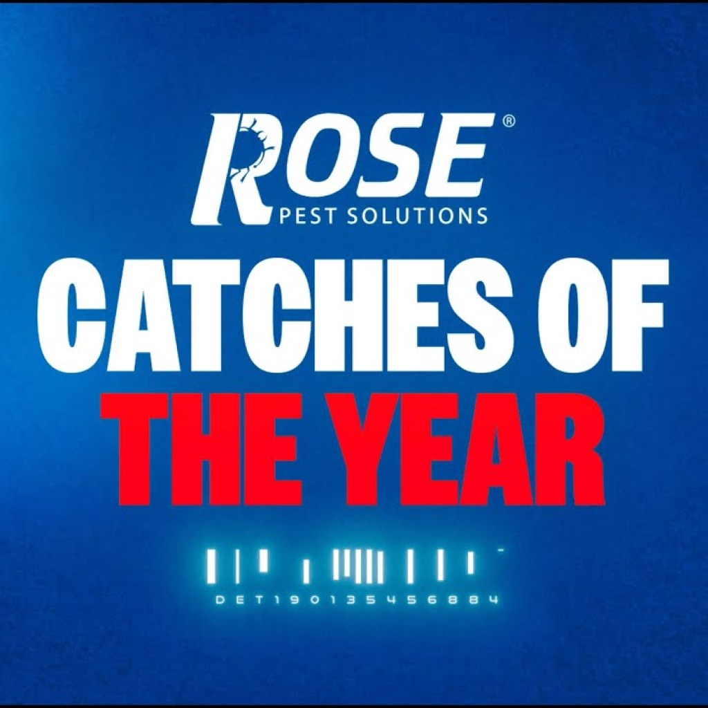 Detroit Tigers Top 10 Catches of the 2025 Season Detroit Tigers Top 10 Catches of the 2025 Season