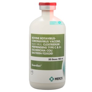 GUARDIAN (50 DS) GUARDIAN (50 DS)