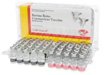 CALF GUARD (1 DS X 25CT TRAY) CALF GUARD (1 DS X 25CT TRAY)