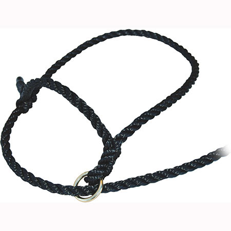HALTER – ROPE W / RING HALTER – ROPE W / RING