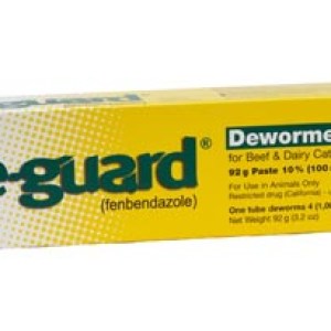 SAFE-GUARD(290G TUBE) SAFE-GUARD(290G TUBE)