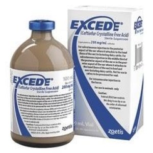 EXCEDE EXCEDE