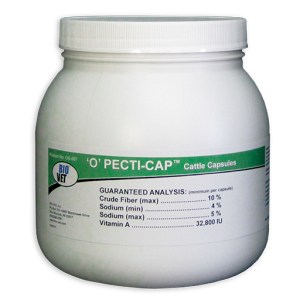 GENER “O” PECTI-CAP GENER “O” PECTI-CAP