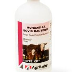 I SITE XP (50DS) I SITE XP (50DS)