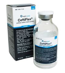 CEFTIFLEX 4GM CEFTIFLEX 4GM