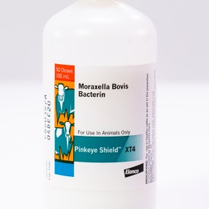 PINKEYE SHIELD XT4 (50DS) PINKEYE SHIELD XT4 (50DS)