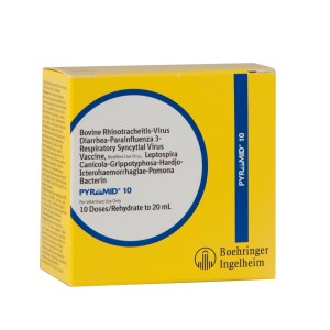 PYRAMID 10 PYRAMID 10