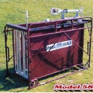 EL SCALE HOG 58SX (WW) EL SCALE HOG 58SX (WW)