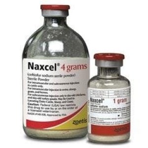 NAXCEL NAXCEL