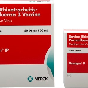 NASALGEN IP NASALGEN IP