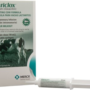 DARICLOX MASTITIS TUBE DARICLOX MASTITIS TUBE