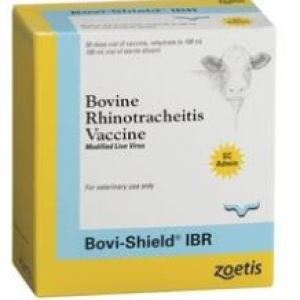 BOVI SHIELD IBR (50DS) BOVI SHIELD IBR (50DS)