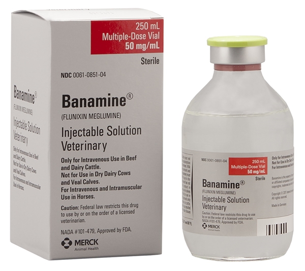 BANAMINE 50MG BANAMINE 50MG