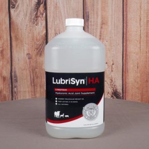 LUBRISYN + MSM LUBRISYN + MSM