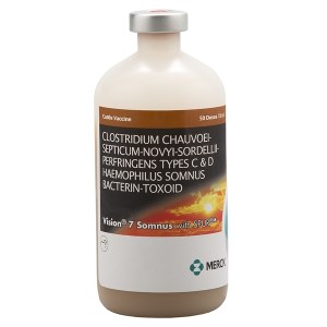 VISION 7 SOMNUS VISION 7 SOMNUS