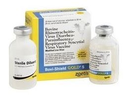 BOVI SHIELD GOLD 5 BOVI SHIELD GOLD 5