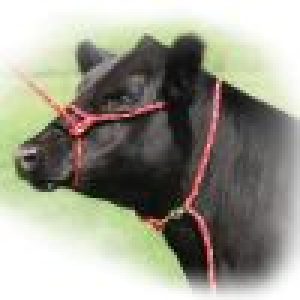 HALTER – POLY ROPE HALTER – POLY ROPE