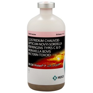 VISION 7 20/20 (50 DS) VISION 7 20/20 (50 DS)