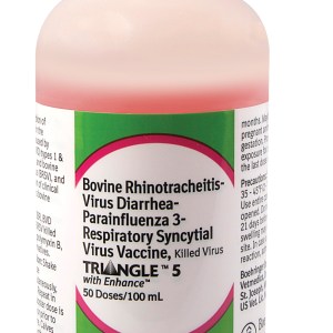 TRIANGLE 5 (50DS) TRIANGLE 5 (50DS)