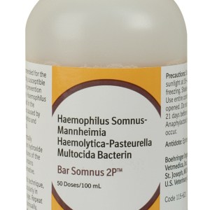 BAR SOMNUS 2P (50DS) BAR SOMNUS 2P (50DS)