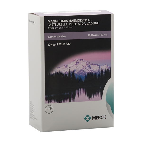 ONCE PMH SQ ONCE PMH SQ