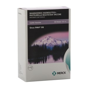 ONCE PMH SQ ONCE PMH SQ