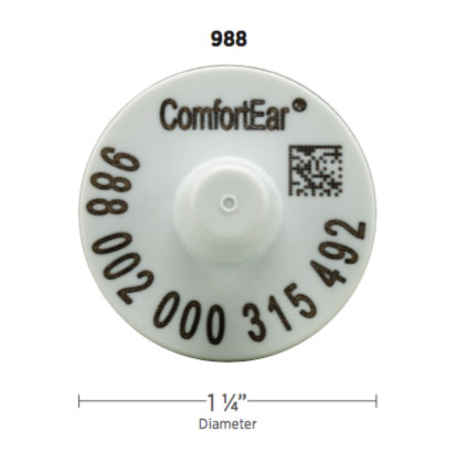 TEMPLE EID FULL (COMPLETE) (EA) TEMPLE EID FULL (COMPLETE) (EA)