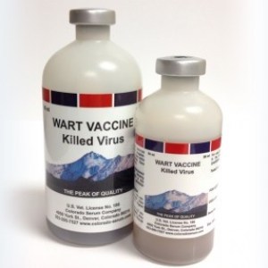 WART VACCINE (50ML) WART VACCINE (50ML)