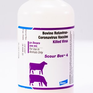 SCOUR BOS 4 (50 DS) SCOUR BOS 4 (50 DS)