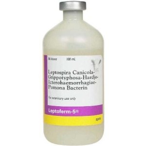 LEPTOFERM 5 (50DS) LEPTOFERM 5 (50DS)