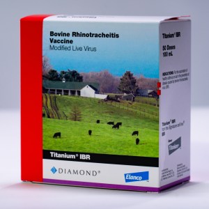 TITANIUM IBR (50DS) TITANIUM IBR (50DS)