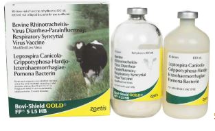 BOVI SHIELD GOLD FP 5+L5 HB BOVI SHIELD GOLD FP 5+L5 HB