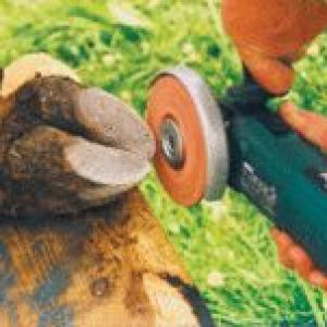 HOOF GRINDING DISC SYRVET (PHILIPSON) HOOF GRINDING DISC SYRVET (PHILIPSON)