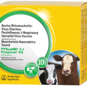 PYRAMID 5 + PRESPONSE SQ PYRAMID 5 + PRESPONSE SQ