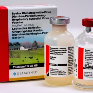 TITANIUM 5 5L TITANIUM 5 5L