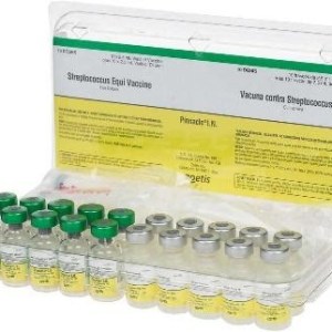 PINNACLE I.N. (DS) PINNACLE I.N. (DS)