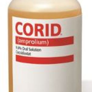 CORID (PINT) CORID (PINT)