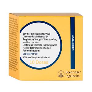 EXPRESS FP 10 EXPRESS FP 10