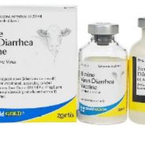 BOVI SHIELD GOLD BVD BOVI SHIELD GOLD BVD