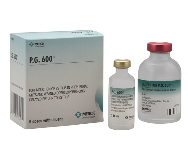 PG 600 (5DS) PG 600 (5DS)