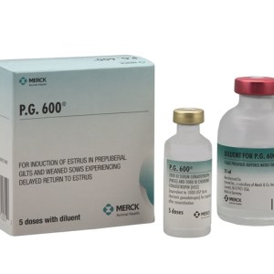 PG 600 (5DS) PG 600 (5DS)