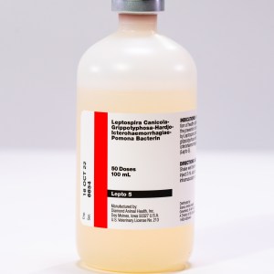 LEPTOSHIELD 5 (50 DS) LEPTOSHIELD 5 (50 DS)