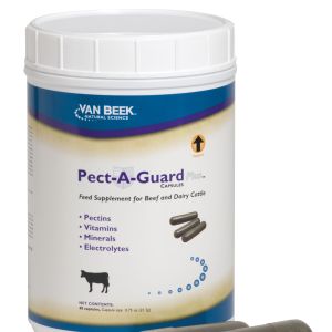 VBS – PECT-A-GUARD (40 CT) VBS – PECT-A-GUARD (40 CT)