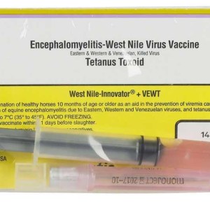 WEST NILE INNOVATOR + VEWT WEST NILE INNOVATOR + VEWT