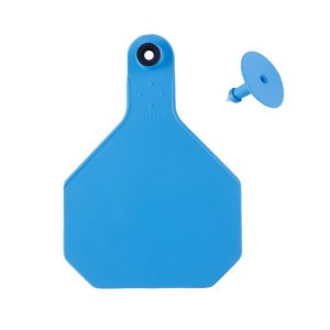 Y-TEX LG (25CT) Y-TEX LG (25CT)