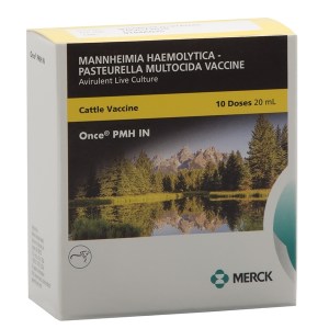 ONCE PMH IN ONCE PMH IN